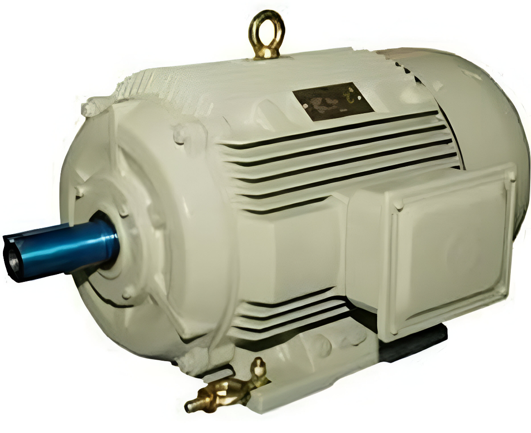 WhatsApp Image 2025-12-19 at 4.10.57 PM